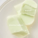 Beauty of Joseon Matte Sun Stick : Mugwort + Camelia 18g